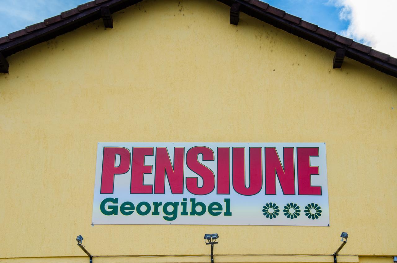 Pensiunea Georgibel Deva Exterior foto